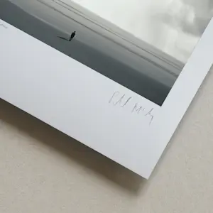 Philip McKay - 'Staren naar de hemel' (2015) - GRATIS VERZENDING kopen? Bied vanaf 75!