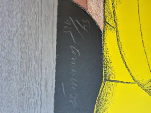 Corneille - litho 54/125 - gesigneerd - '89 kopen? Bied vanaf 319!
