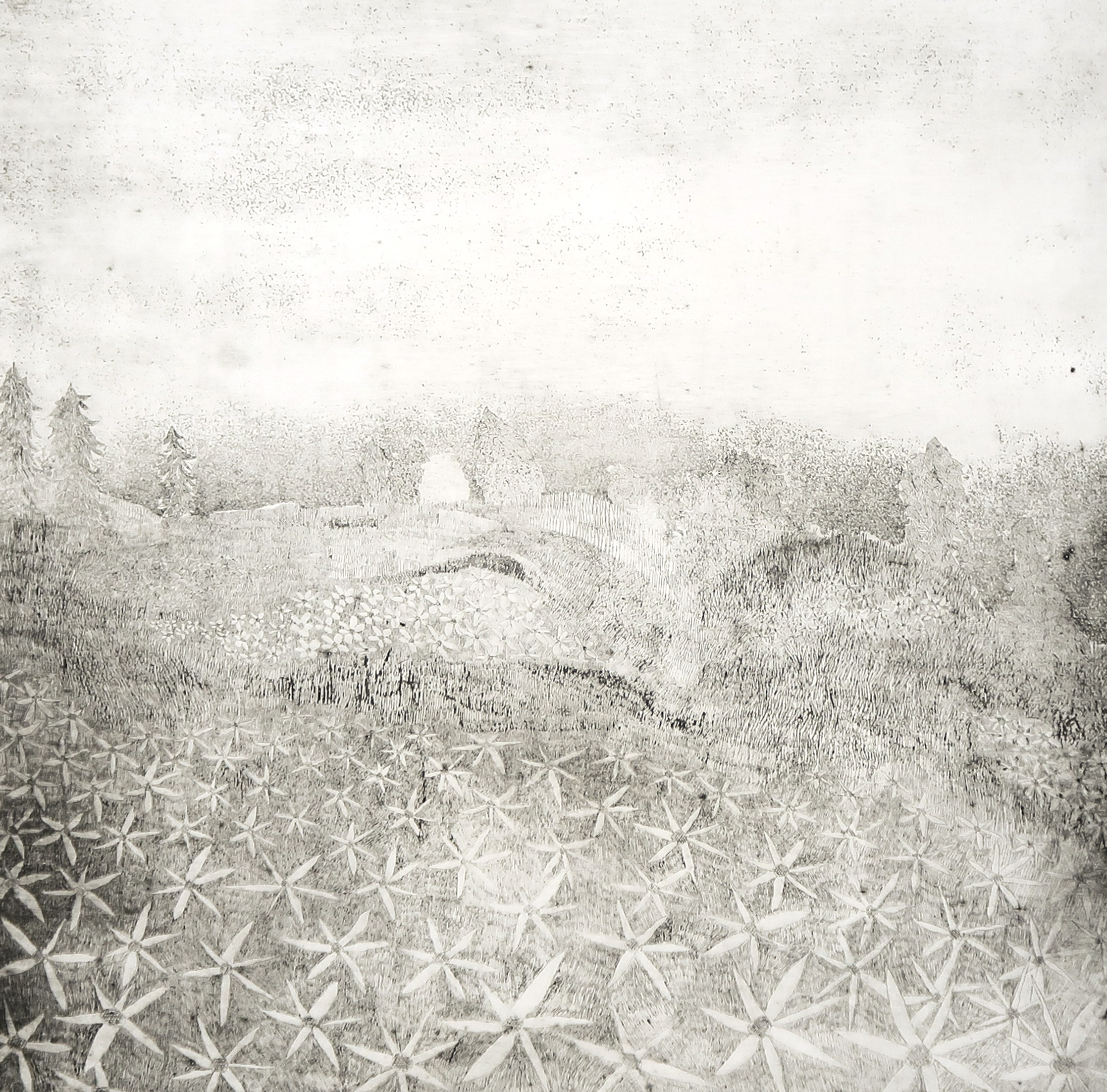 Frits Anton van der Horst - Ets, Frankrijk kopen? Bied vanaf 1!