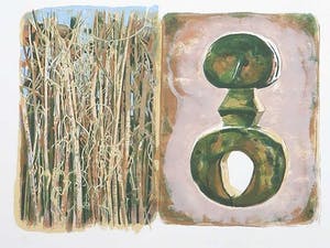 Ed van der Kooy - Litho, Sacred roots kopen? Bied vanaf 1!