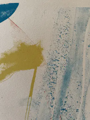 Paul Jenkins - Seeing Voice, Welsh Heart kopen? Bied vanaf 290!