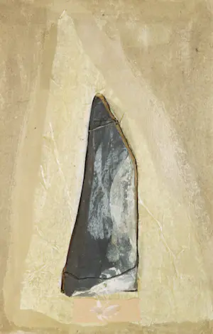 Peter Dejong - Boekobject in gemengde techniek, One stone and eleven feathers kopen? Bied vanaf 1!