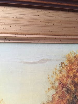 Franz Josef Noha - Olieverf schilderij kopen? Bied vanaf 30!