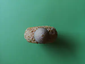 Niet of onleesbaar gesigneerd - Chinees Snuifflesje handgesneden kopen? Bied vanaf 1!