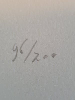 Armando - Das Blatt kopen? Bied vanaf 153!