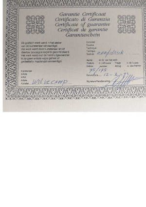 Theo Wolvecamp - Zonder Titel kopen? Bied vanaf 240!