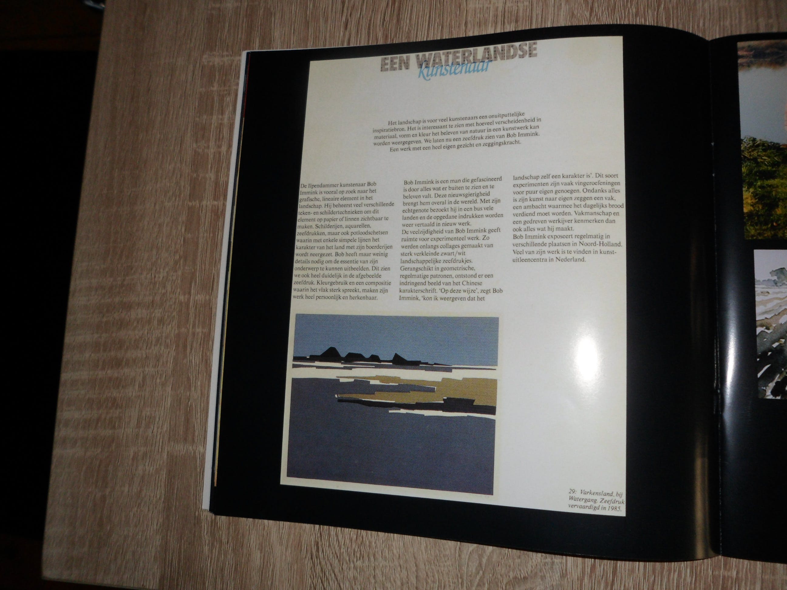 Bob Immink - Zeefdruk, Titel "Varkensland bij watergang kopen? Bied vanaf 40!