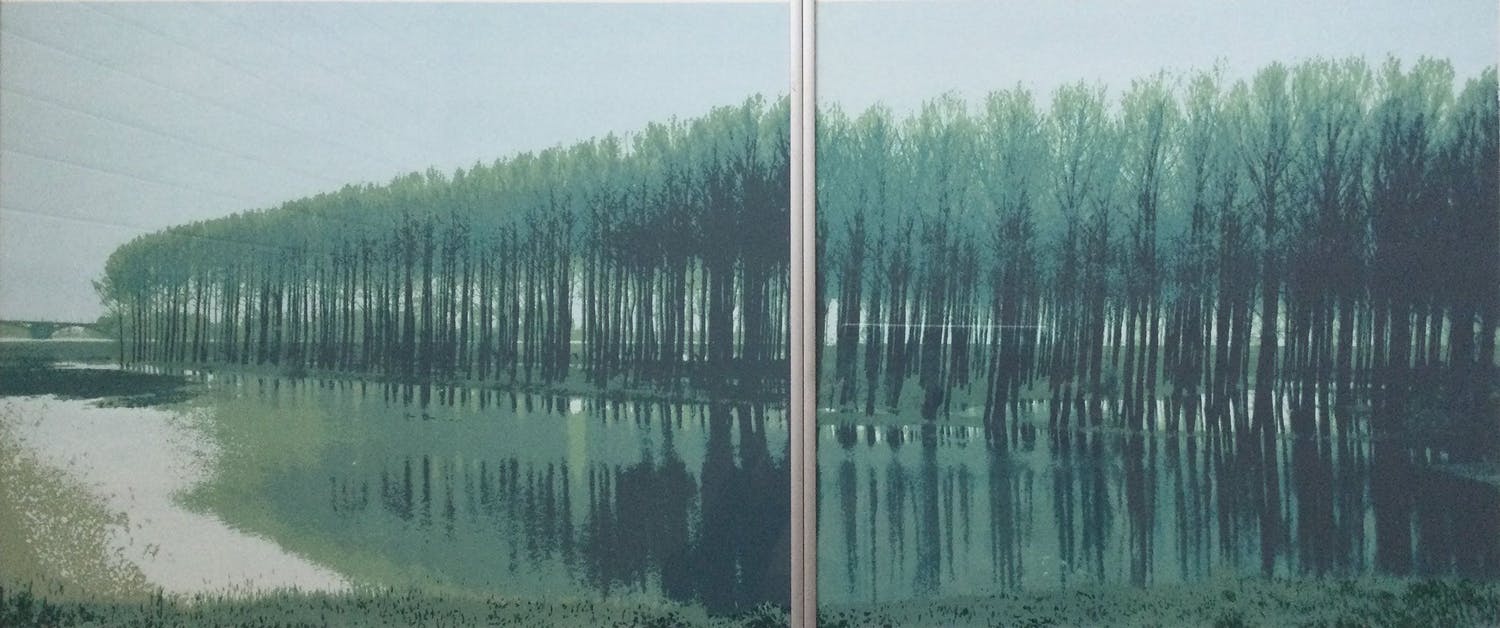 Martin T.J.M van de Laar (1954)