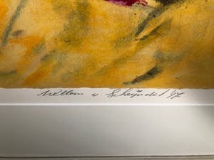 Willem van Scheijndel - Californië kopen? Bied vanaf 100!