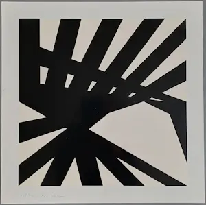 Peter Struycken - gesigneerde zeefdruk kopen? Bied vanaf 229!