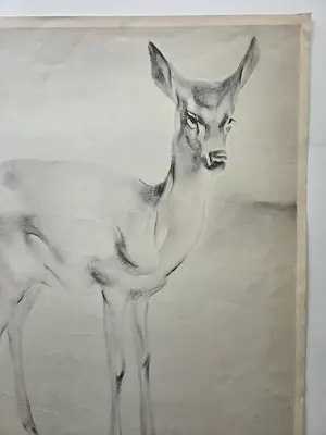Han van Meegeren - Hert. Grote litho. kopen? Bied vanaf 59!