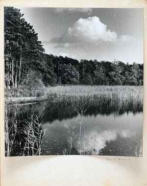 Cas Oorthuys - Ven in Brabant - originele foto op bariet-fotopapier kaufen? Bieten Sie von 50!