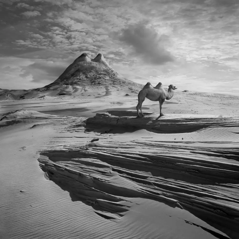Dariusz Klimczak (1967-2023)