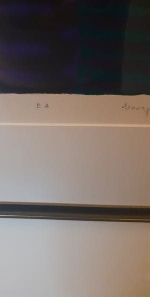 Ton Schulten - Voorjaarsbomen (mooi gelijst) kopen? Bied vanaf 399!