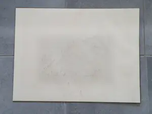 Nic Jonk - Jaren 60 gemengde techniek "liggend vrouwelijk naakt" gesigneerd kopen? Bied vanaf 32!
