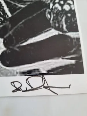 Niet of onleesbaar gesigneerd - Afbeelding Dali kopen? Bied vanaf 10!