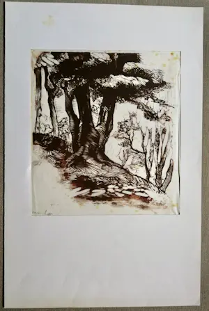 Rein Snapper - Twee houtsneden kopen? Bied vanaf 10!