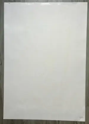 Bettina Lopetro - Man kopen? Bied vanaf 22!