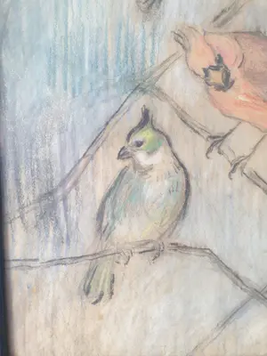 Marie van Waning-Stevels - Vogels kopen? Bied vanaf 200!