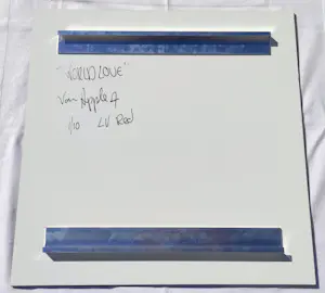 Diederik Van Apple - World Love Red LV – Limitierte Auflage 1/10 kopen? Bied vanaf 480!