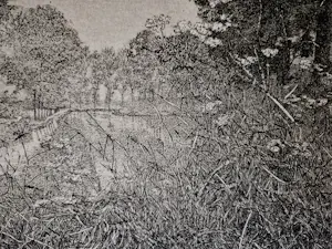 Reinder Homan - Perfecte ets "Landschap met doorkijk" - 45/50 - 1987 - in passe partout kopen? Bied vanaf 130!