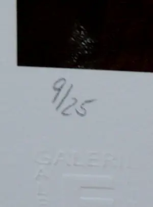 Armando - Armando - Giclee: Körperlich kaufen? Bieten Sie von 169!