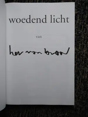 Herman Brood - woedend licht met zeefdruk kopen? Bied vanaf 150!