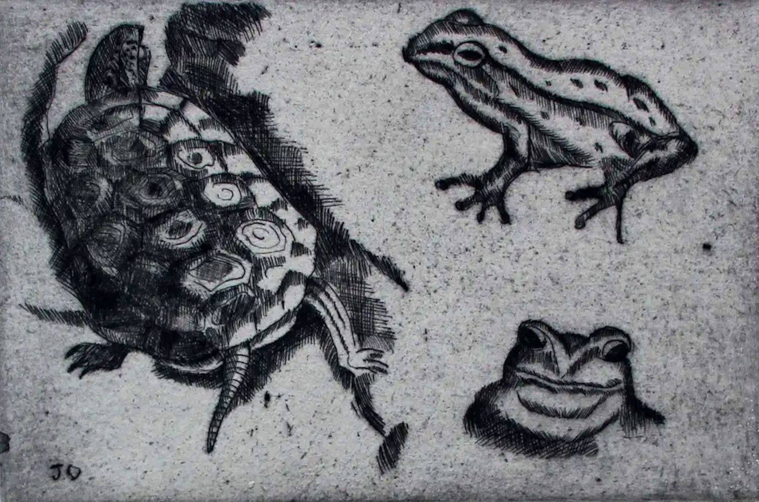 Buy Jeanne Bieruma Oosting - Ets: reptilo? Bid from 225!