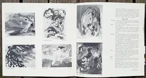 Asger Jorn - Complete publicatie Lefebre (NY) met originele litho kopen? Bied vanaf 95!