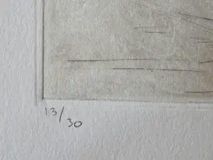 Jan Montyn - in 1982 gemaakte Ets & Aquatint - ZT- kleine oplage (30) - potloodgesigneerd kaufen? Bieten Sie von 63!