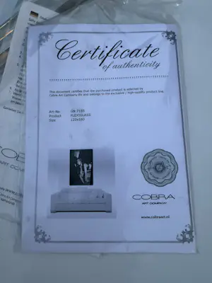 James Chiew - James chief met certificaat kopen? Bied vanaf 699!