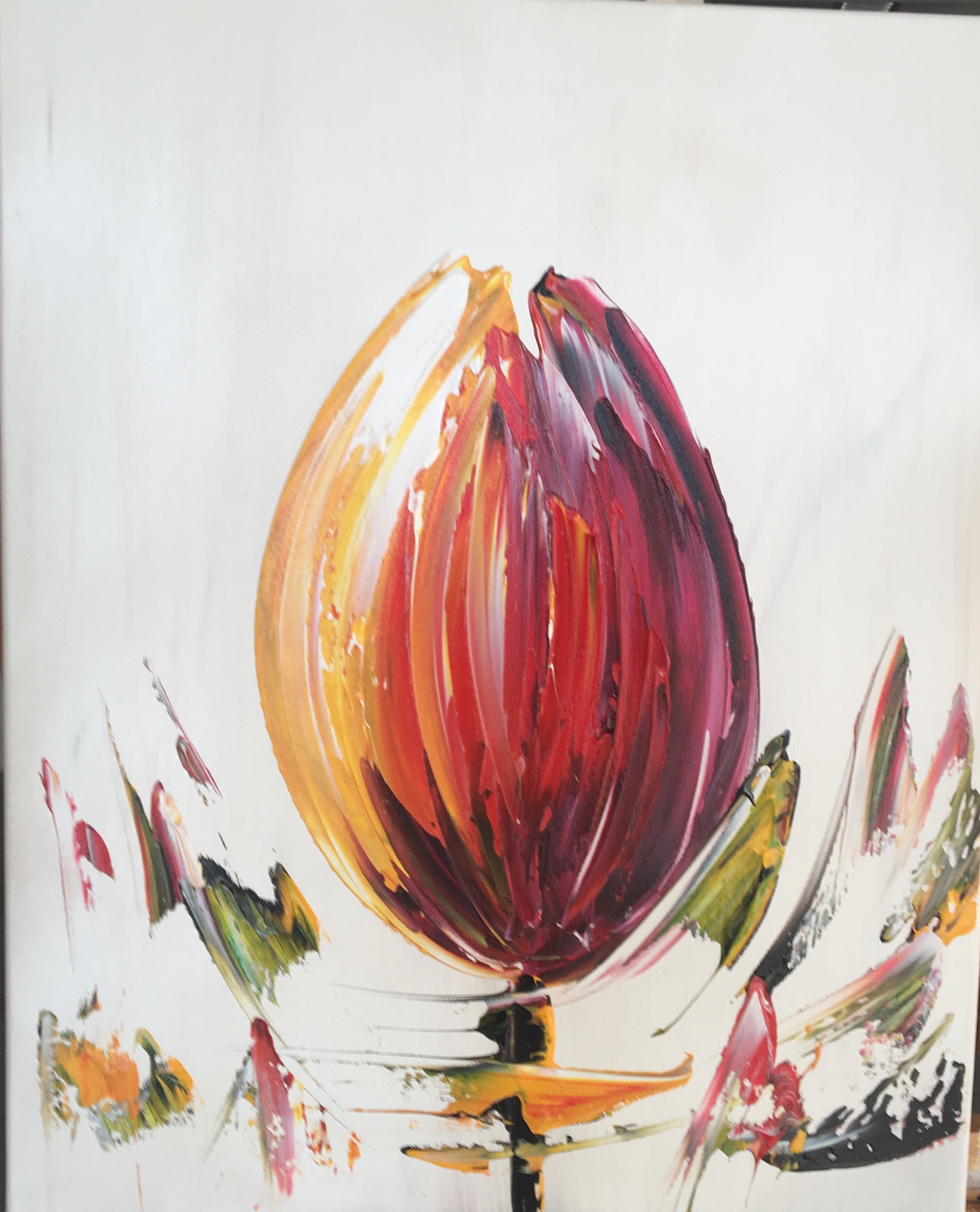 Gena Genadyj - Fantasie Tulp kopen? Bied vanaf 1!