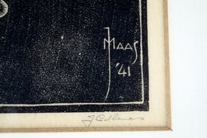 Jan Christiaan Maas - twee jonge vogels kopen? Bied vanaf 20!