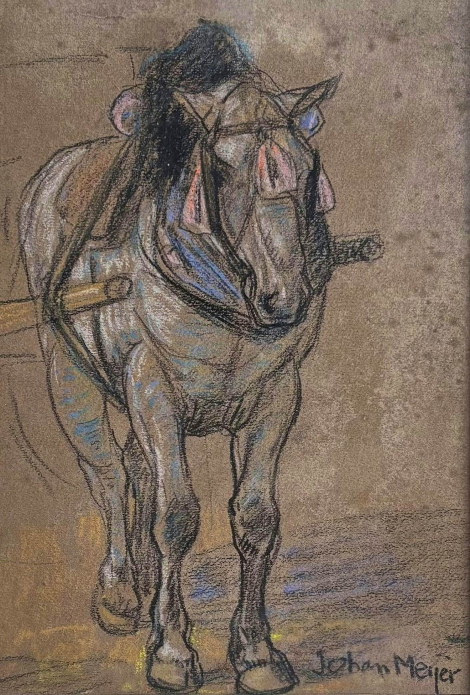 Johan Meijer - Trekpaard kopen? Bied vanaf 60!