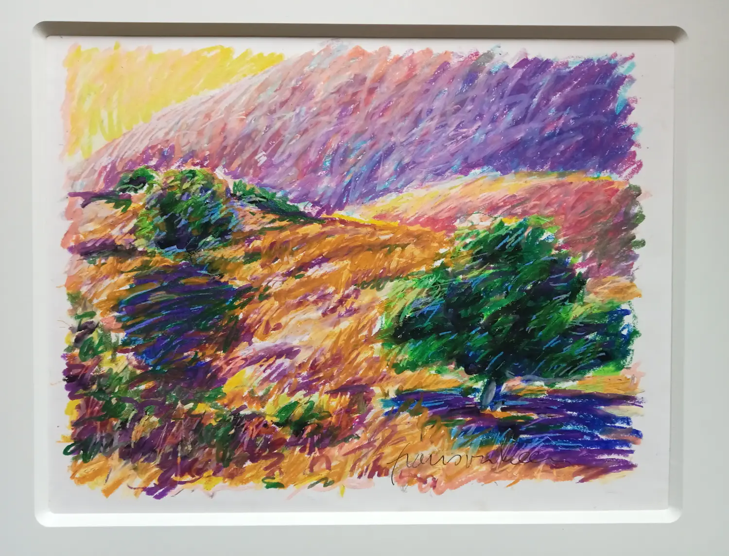 Frans van Veen (1950)