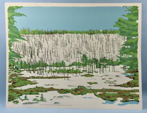 Egbert de Bock - Yellowstone Park USA - Acid Rain kaufen? Bieten Sie von 30!