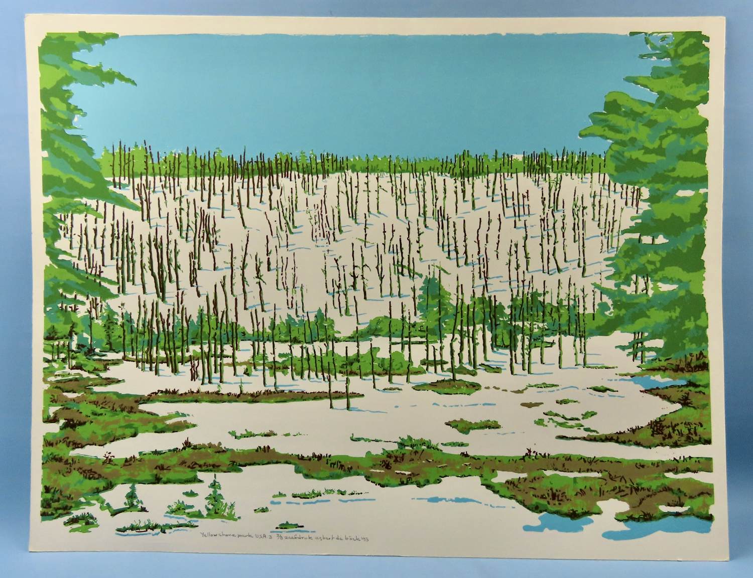 Egbert de Bock - Yellowstone Park USA - Acid Rain kopen? Bied vanaf 30!