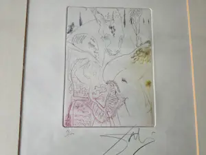 Salvador Dali - Le Decameron 1972 kopen? Bied vanaf 350!