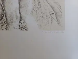 Clary Mastenbroek - tussen de slaapbollen - gesigneerde litho kaufen? Bieten Sie von 79!