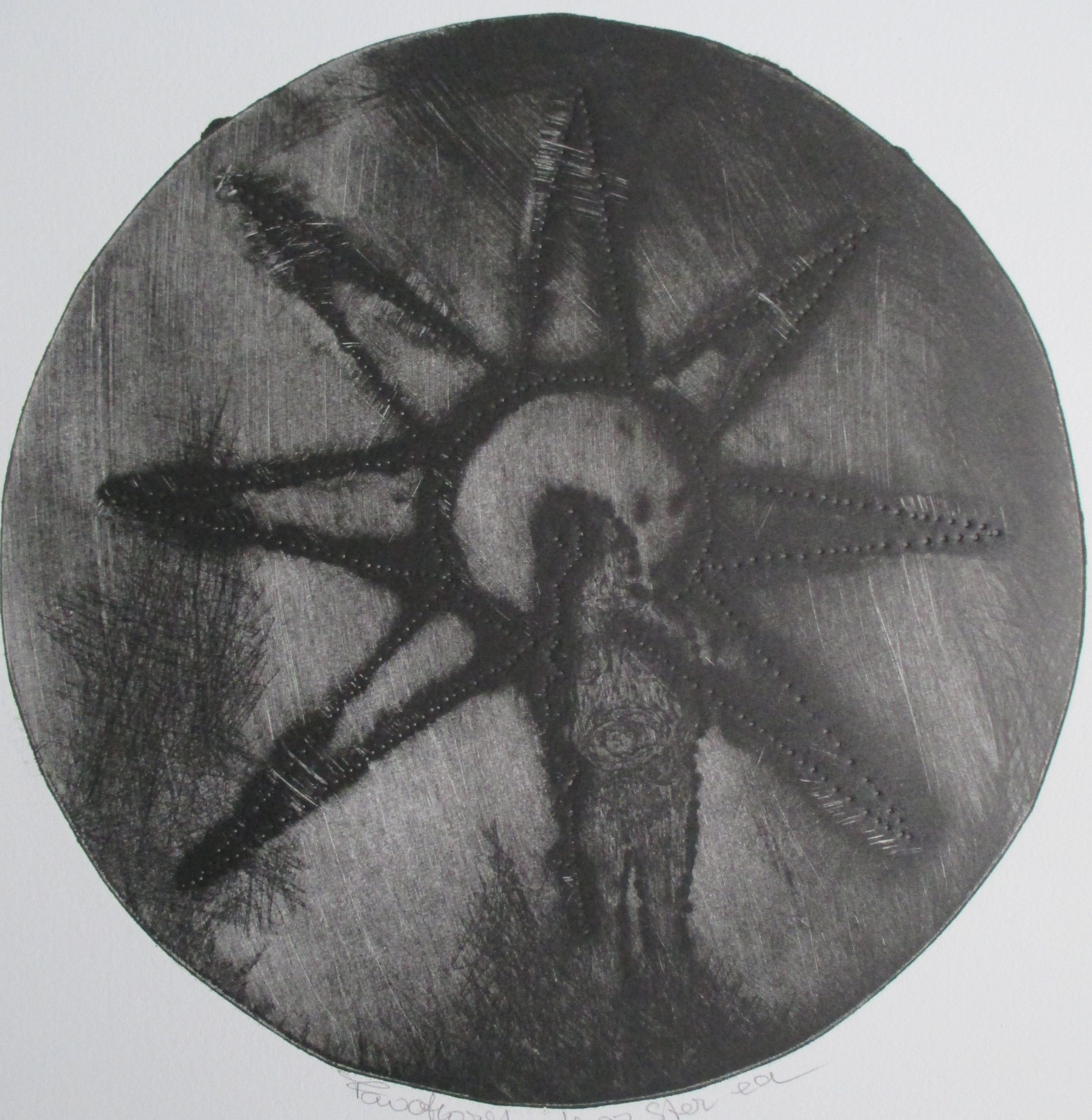 Frits Anton van der Horst - Ets "Ster" kopen? Bied vanaf 15!