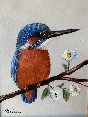 Henk Poeder - Vogel kopen? Bied vanaf 110!