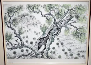 Zvi Livni - Olive tree in Galilee - kleurenlitho 1971 kopen? Bied vanaf 20!