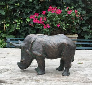 Hetty Heyster - C4830-4C, Neushoorn kopen? Bied vanaf 650!