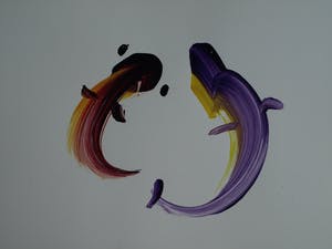 Niet of onleesbaar gesigneerd - ‘Gekaligrafeerde’ acrylverf op papier , Japan , Vissen / Karpers – ingelijst kopen? Bied vanaf 1!