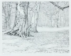 Reinder Homan - Ets, Zonnig bos kopen? Bied vanaf 100!