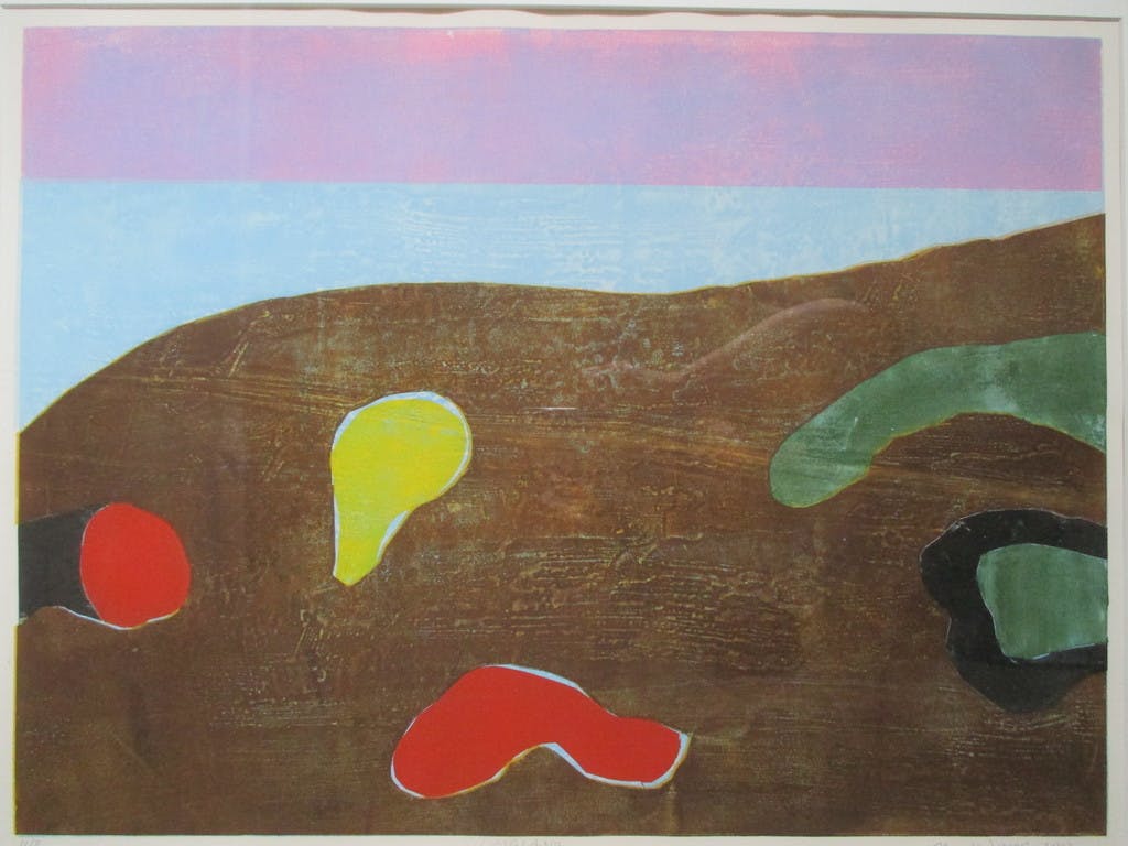 Margot de Jager - grote ingelijste aluminiumprint "Laagland" Barth-lijst kopen? Bied vanaf 55!