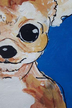 Anke Peddemors - Hondje Fiffy kopen? Bied vanaf 15!