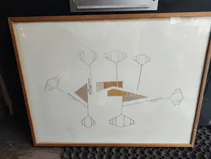 Joost van Roojen - Vlieger kopen? Bied vanaf 2500!