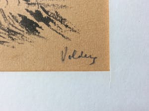 Fons Volders - Gezicht op boerderij kopen? Bied vanaf 100!