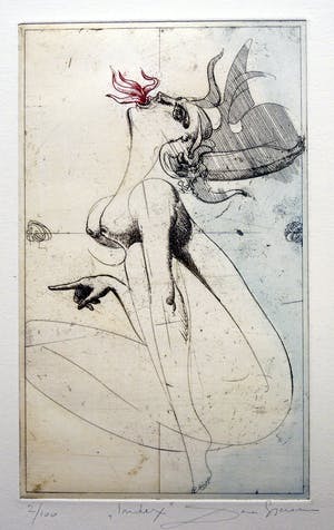 Dan Erceanu - Index kopen? Bied vanaf 39!